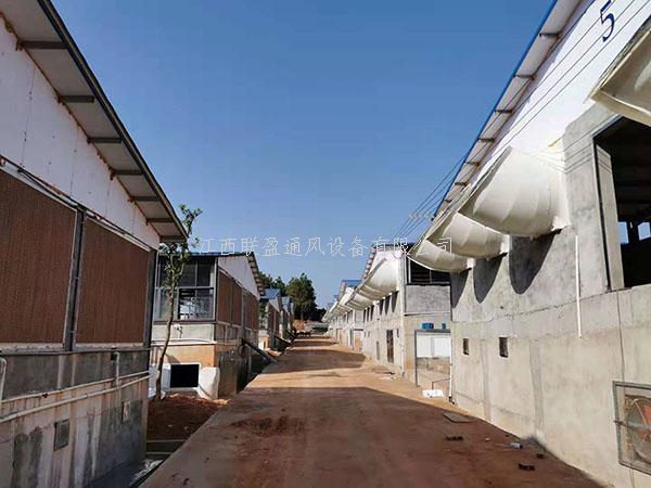 江西負壓風機,工廠降溫,工廠通風降溫
